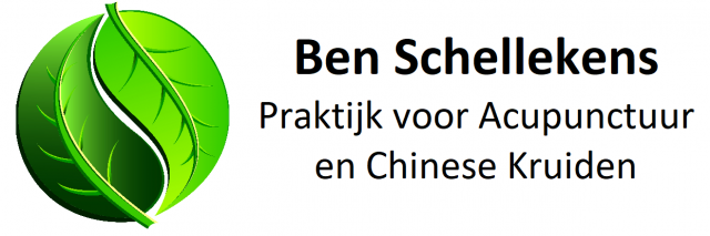 Logo Ben Schellekens Praktijk voor Acupunctuur en Chinese Kruiden